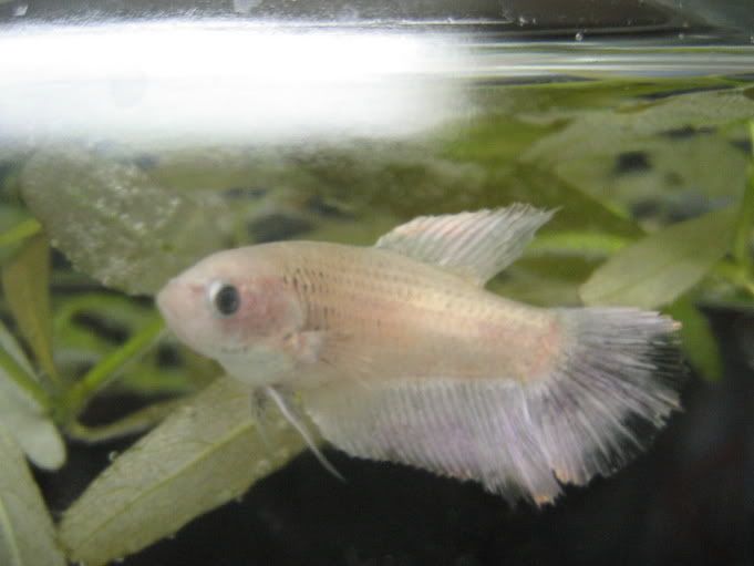 d89d32b3.jpg