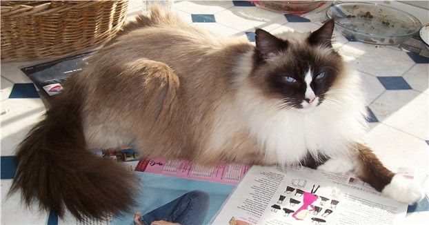 jack16022005.jpg