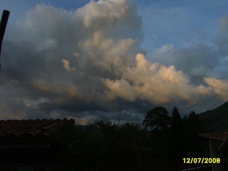 S5004901.jpg