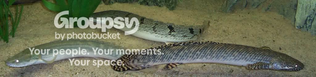 trio1.jpg