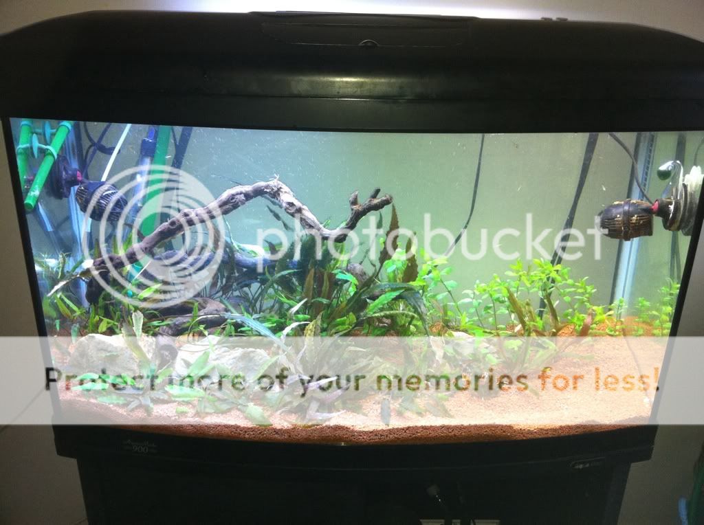 4da9830c.jpg