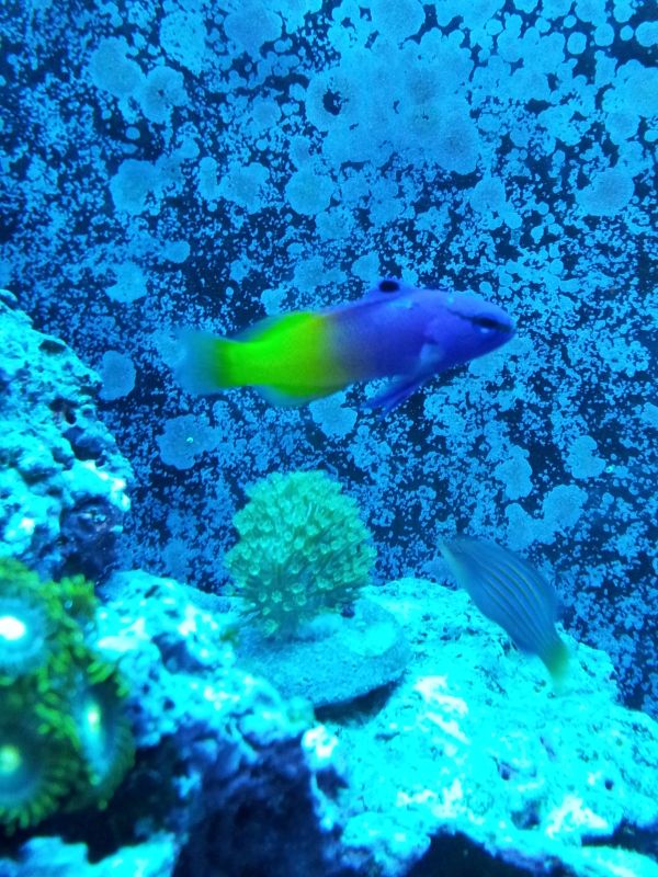 20120520_111851.jpg