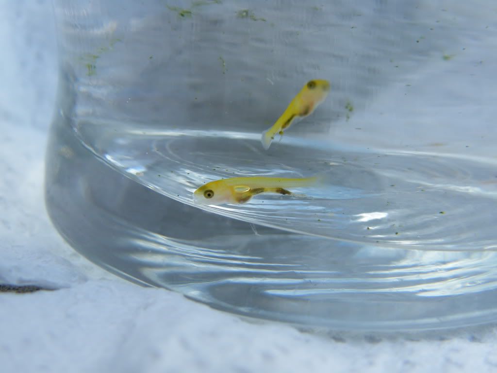 DSCF6922.jpg