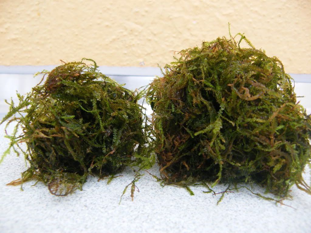 DSCF4717.jpg