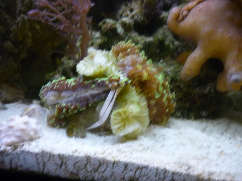 P1000479.jpg