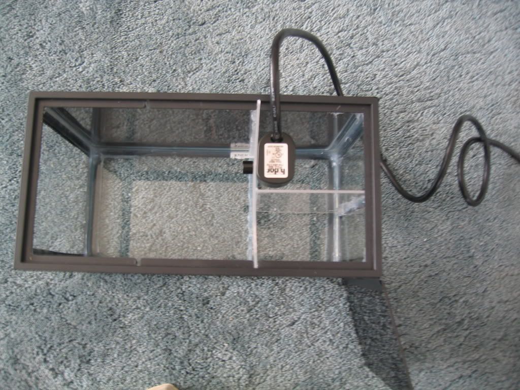 100_0006.jpg