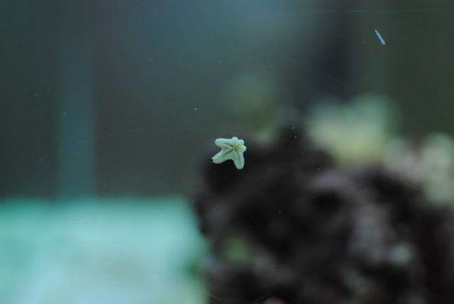 DSC_0498.jpg