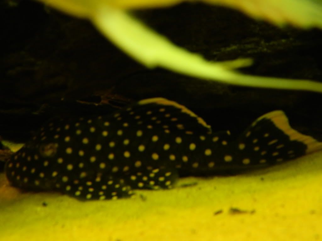 DSCN0402.jpg