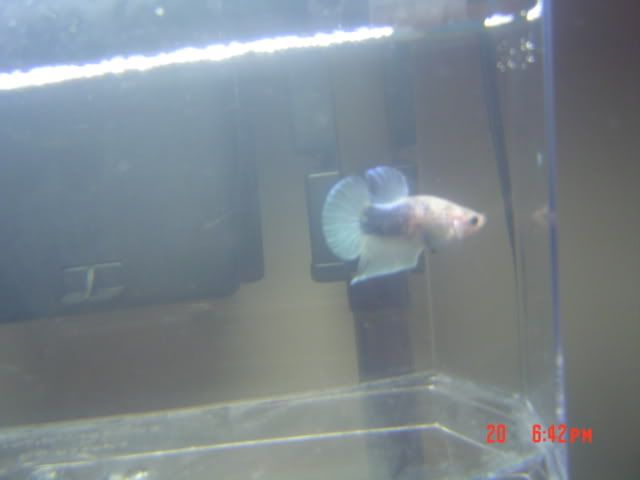 DSC01990.jpg