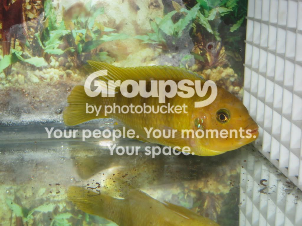 SpringFishExpo10024.jpg