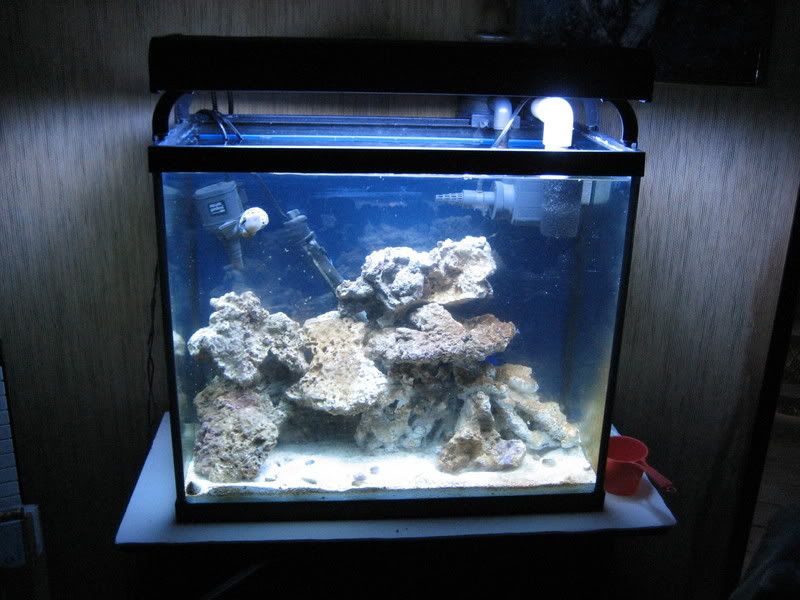 TankUpdate12-26-06001.jpg