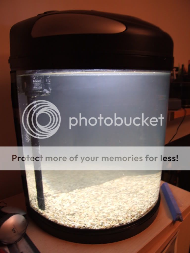 DSCF2339.jpg