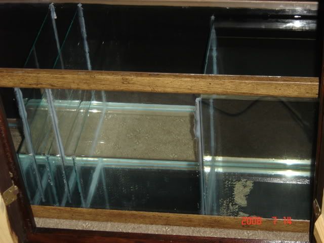 DSC06938.jpg