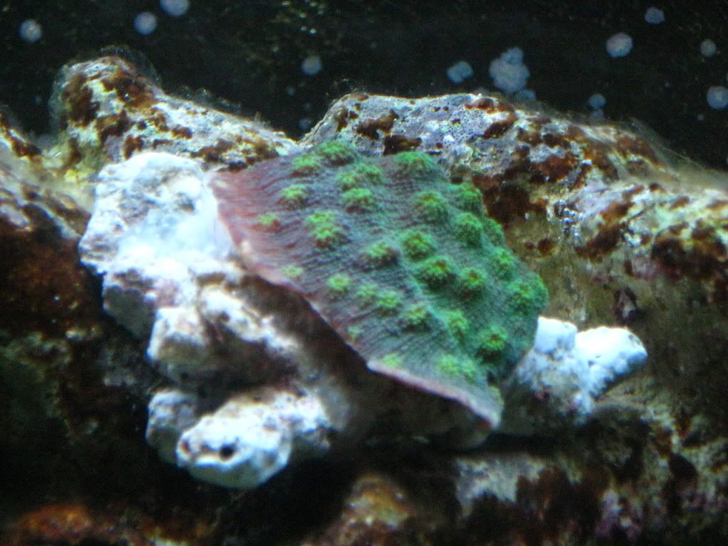 IMG_2849.jpg