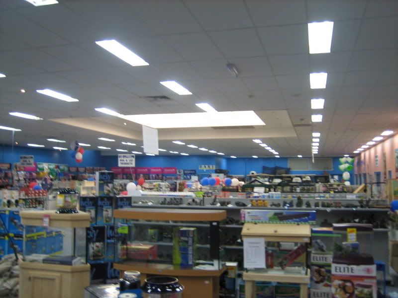 work011.jpg