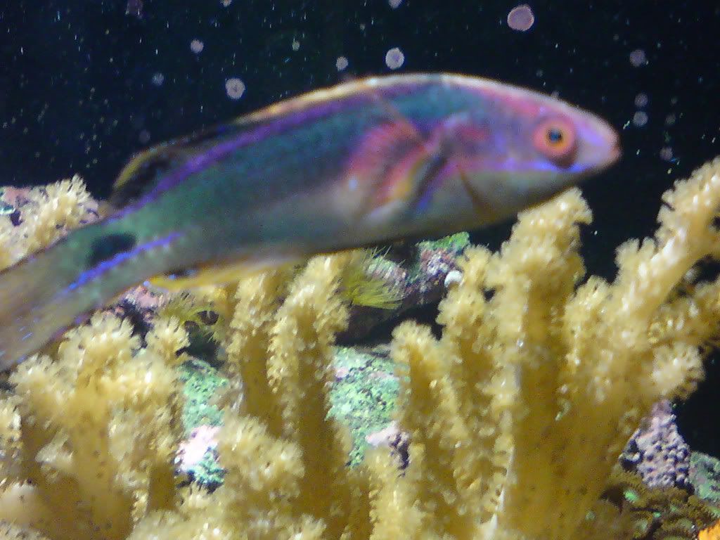 DSC00099.jpg