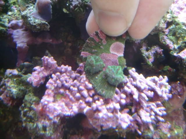 DSC05804.jpg