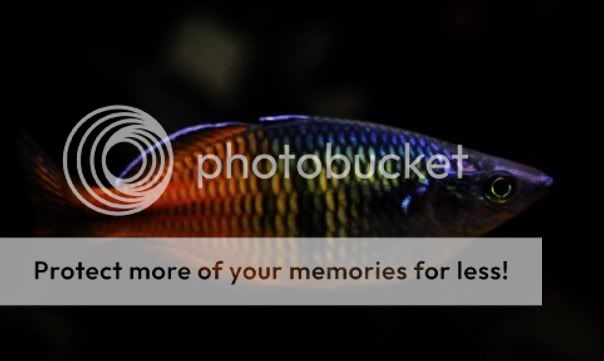 n866425530_2995151_2157.jpg