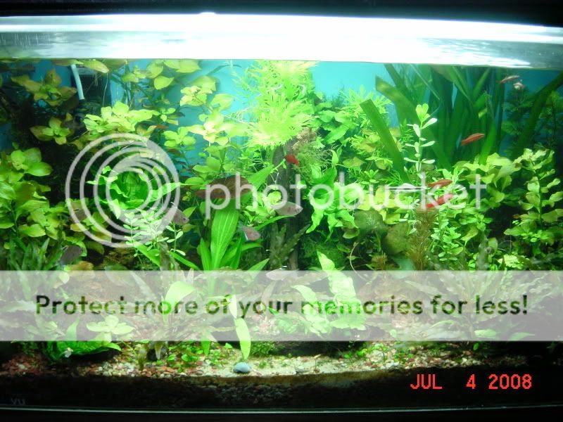 fish149.jpg