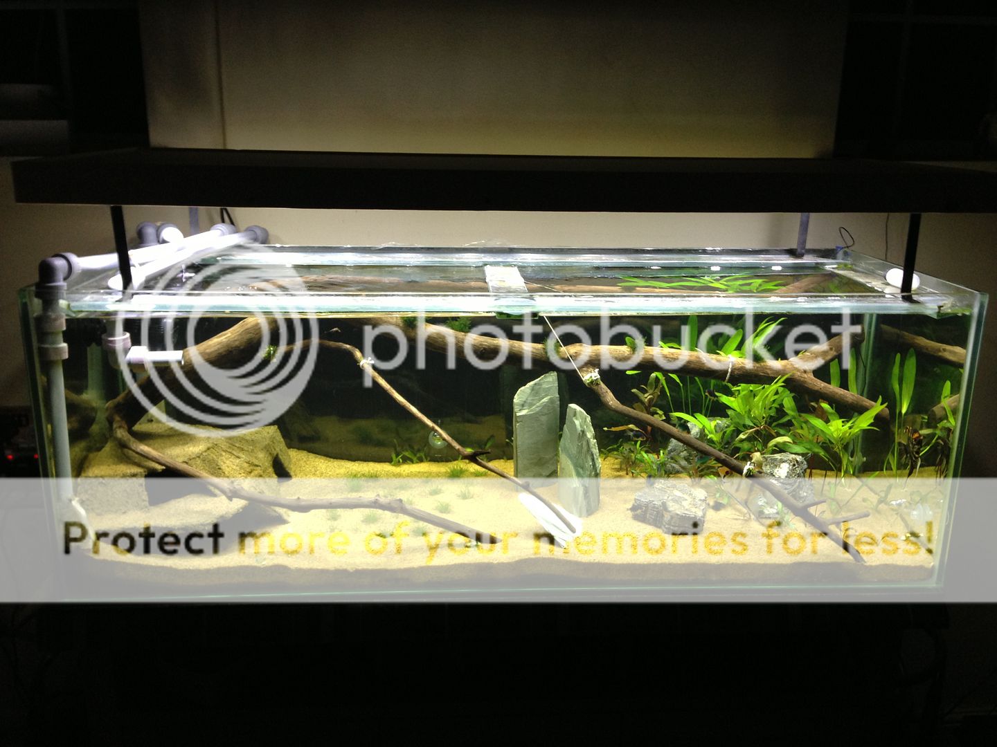 IMG_0119_zps8c8d8b4e.jpg