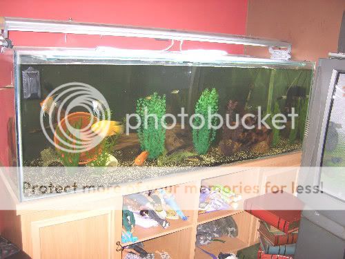 240107tank1.jpg