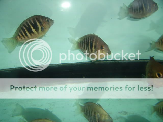 july08003.jpg