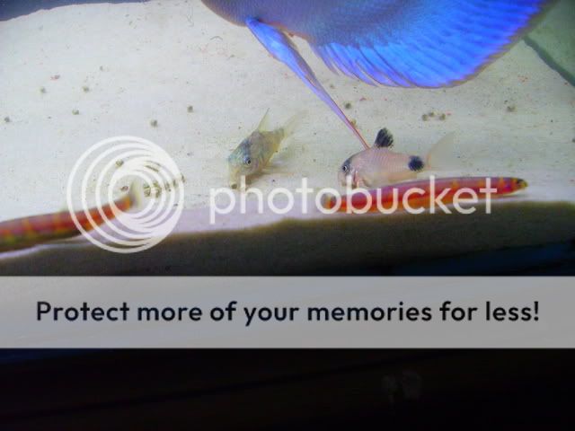 jan08076.jpg