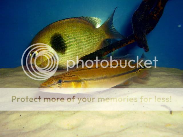 jan09141.jpg