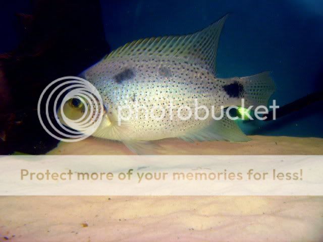 jan09153.jpg