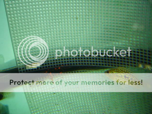 july08021.jpg