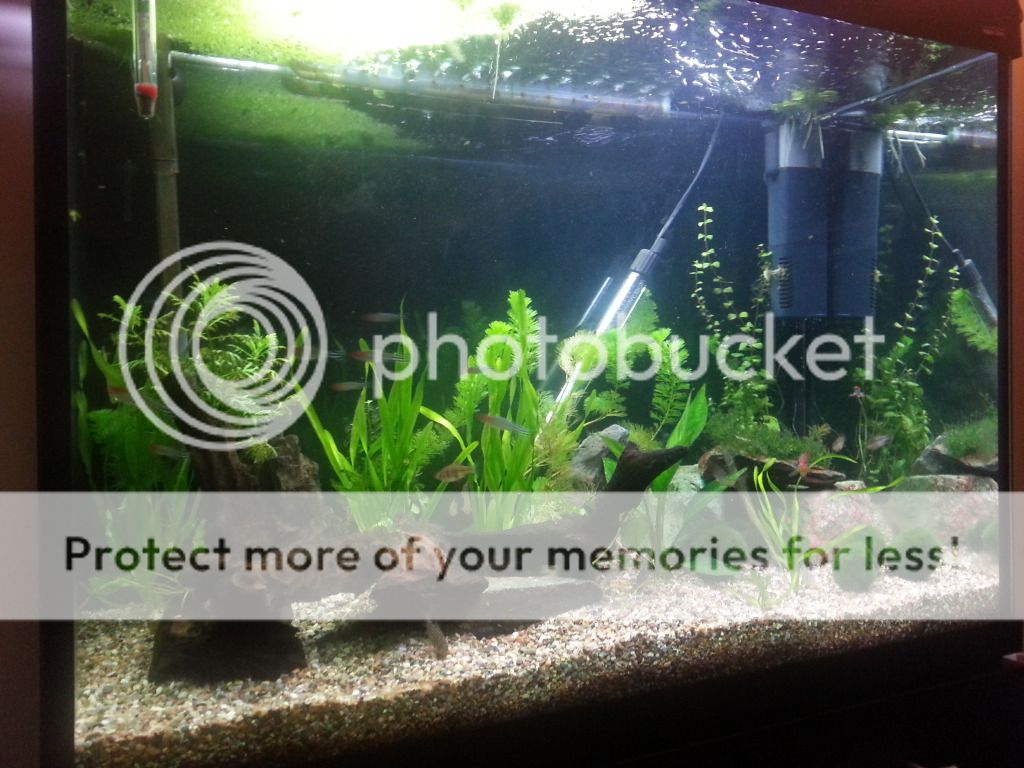 fishtank150712.jpg