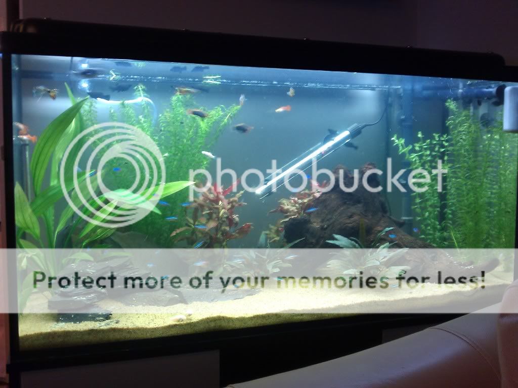 IMAG0315.jpg