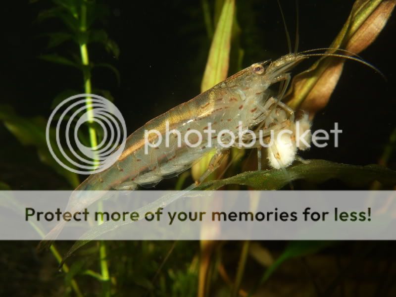 test059.jpg