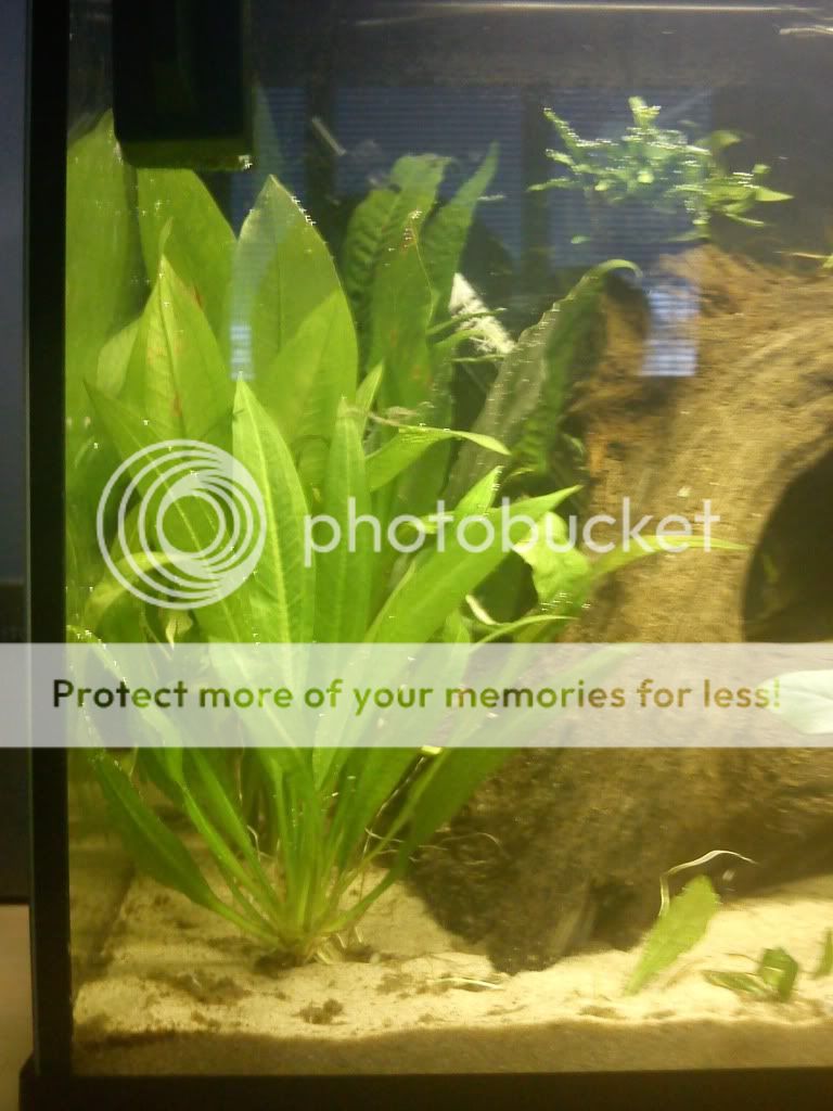 DSC00070.jpg