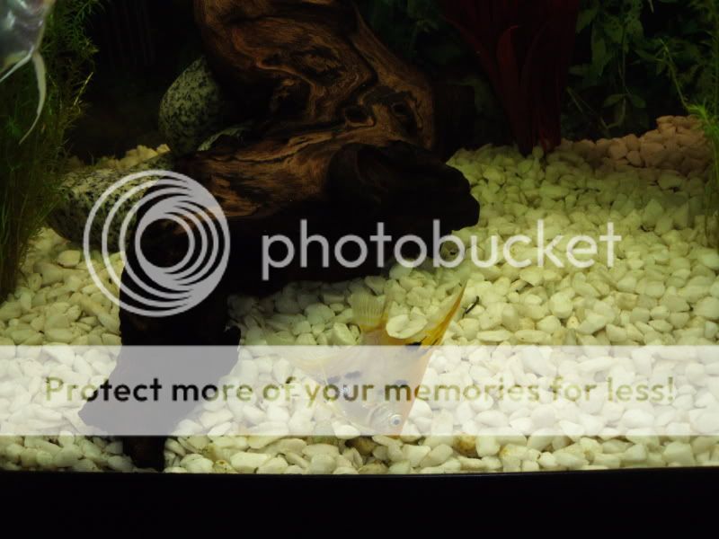 DSCF1883.jpg
