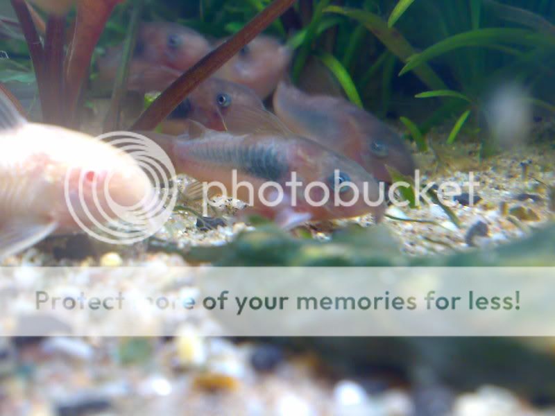 19042009846.jpg