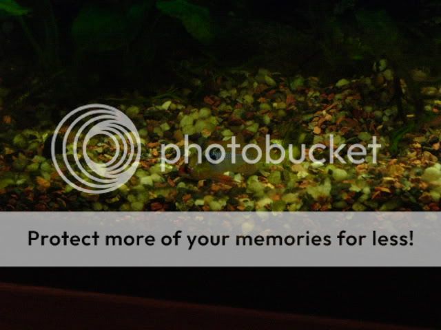 DSCF1008.jpg