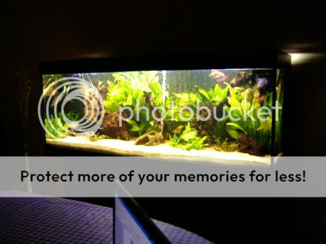 DSCF0185.jpg