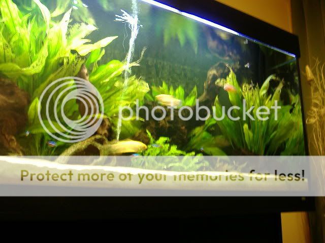 DSCF0215.jpg