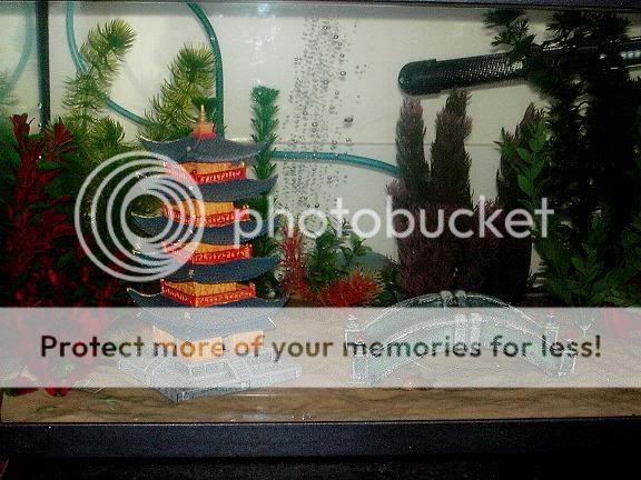 addedplants3.jpg