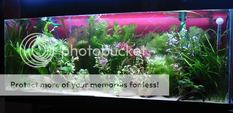 after35G.jpg