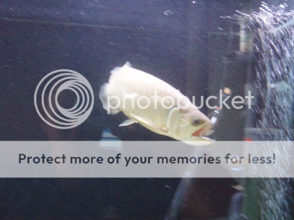 Picture647.jpg