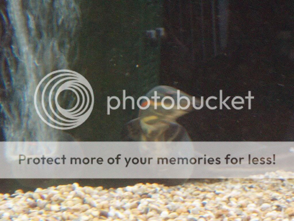 Picture656.jpg