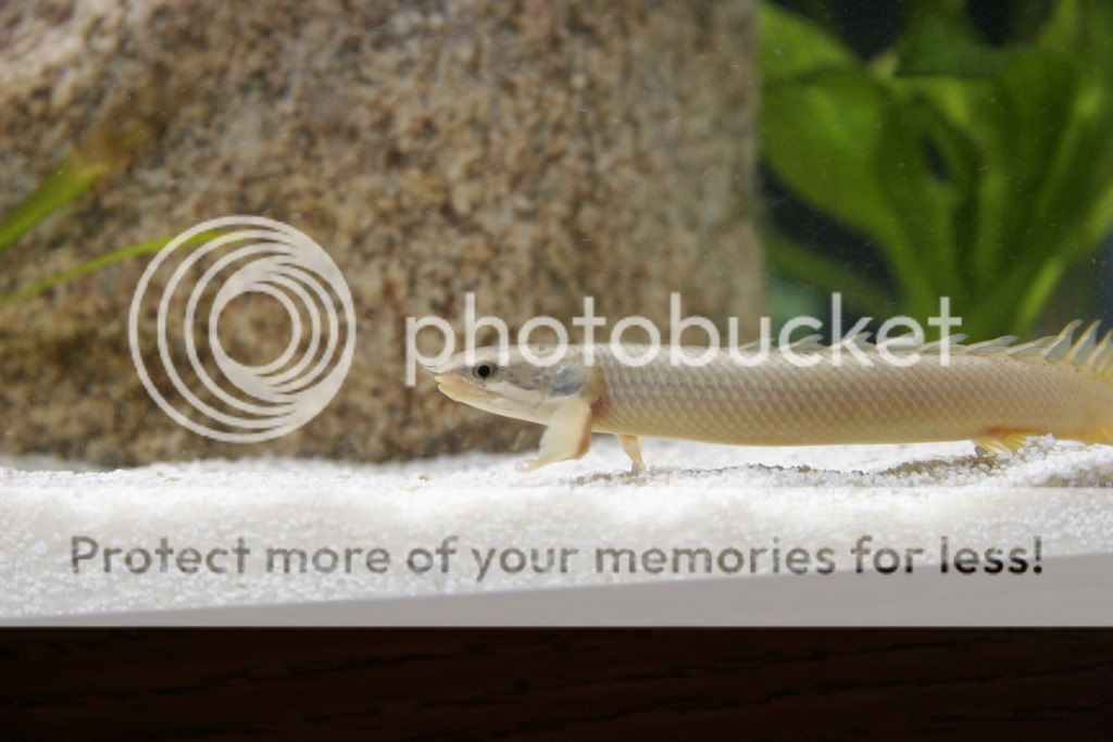 _MG_71922.jpg