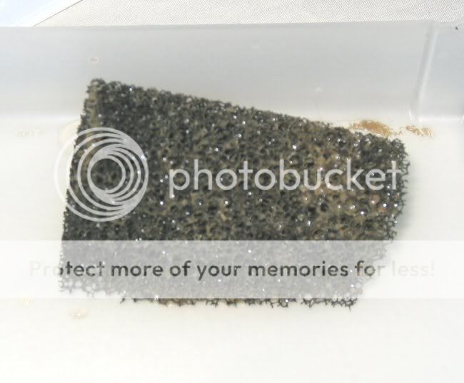 filtersponge.jpg