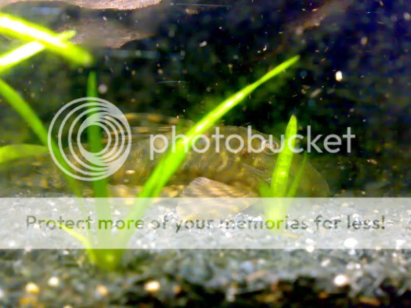 19012008086.jpg