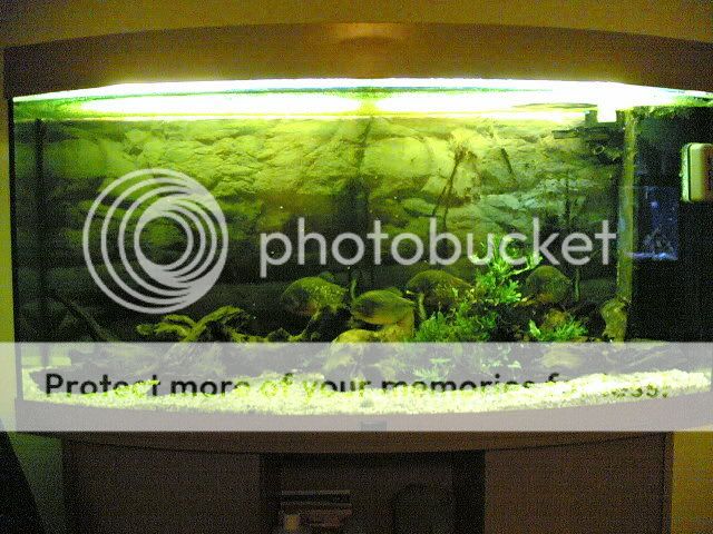 09032005018.jpg