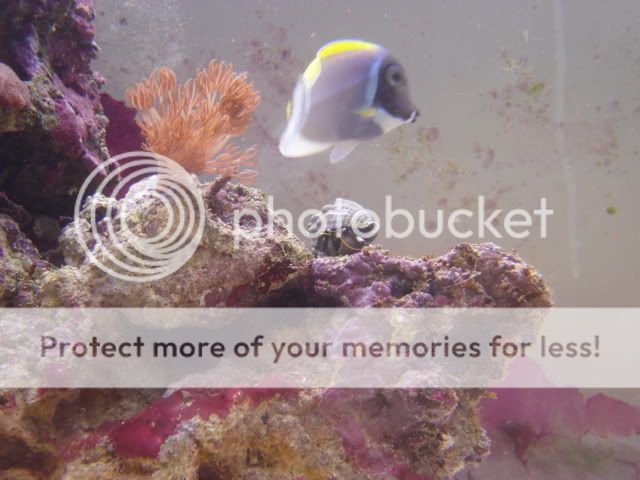 1stphotos023.jpg