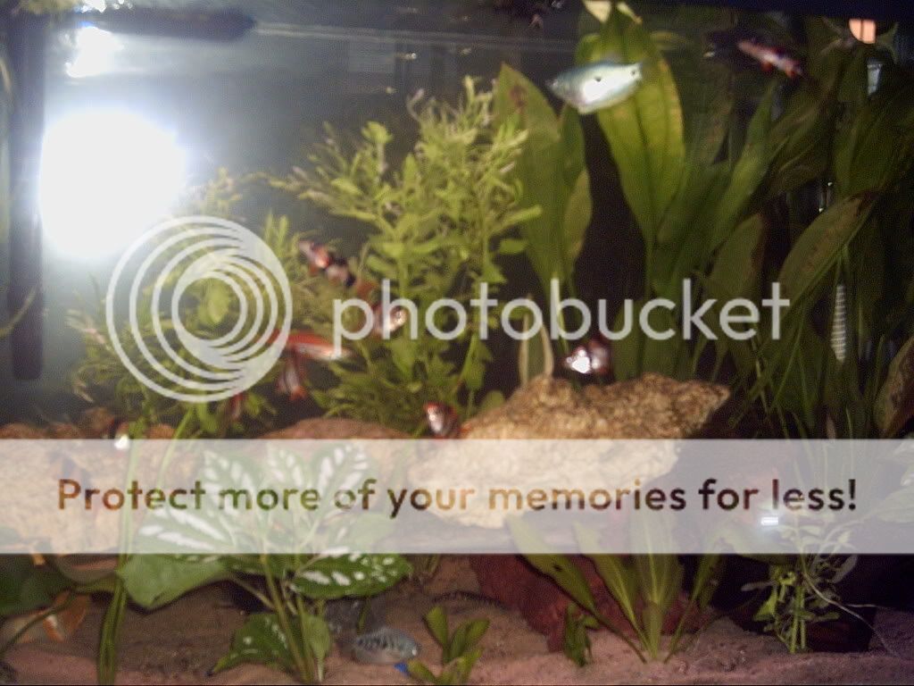 PICT0003.jpg