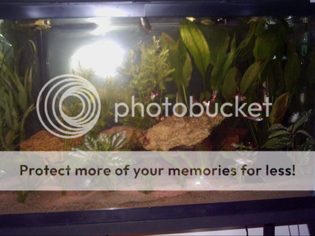 PICT0004.jpg